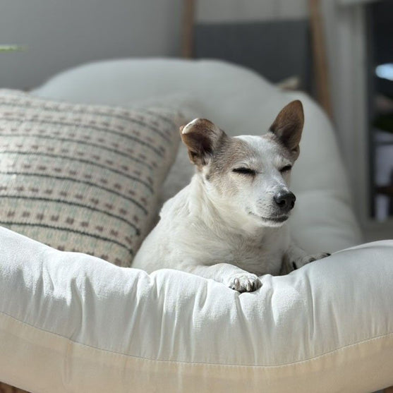 

Homebody - Cushion Cover
6