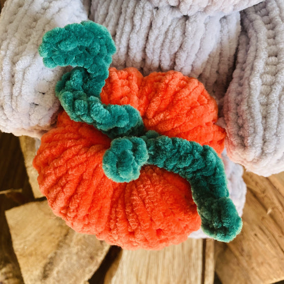 

Pumpkin Bear
13