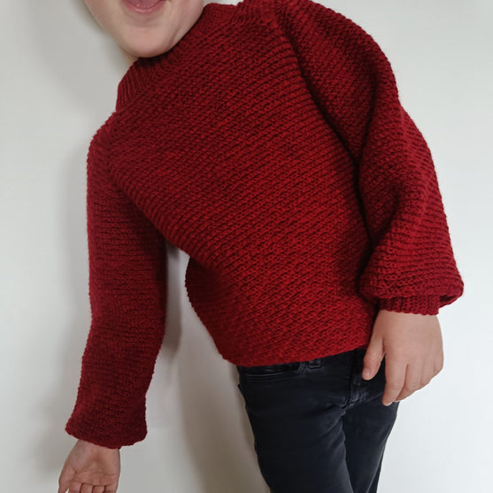 

Hektor’s Sweater - Children’s Sweater
7