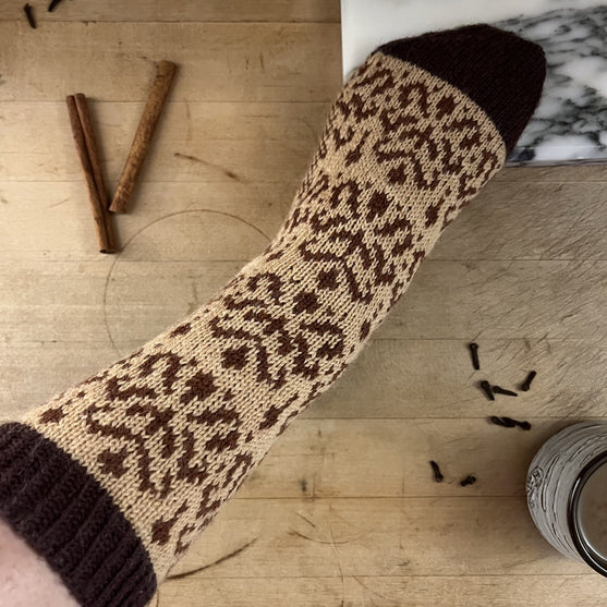 

Cinnamon Spice - Socks
4
