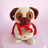 

Cookie the Super Pug
1