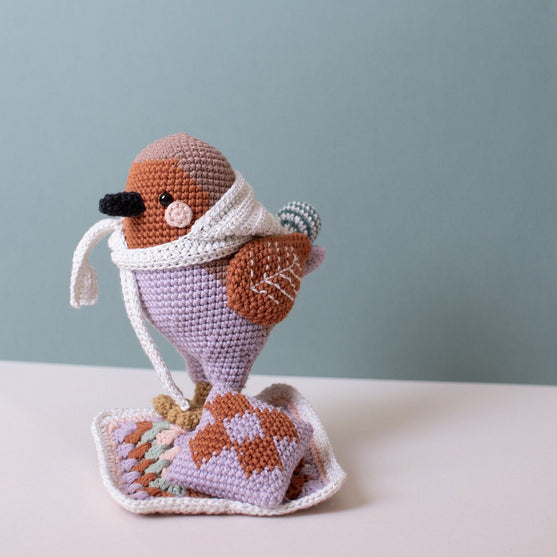 

3rd Sunday of Advent - Amigurumi - Grayson Robin
6