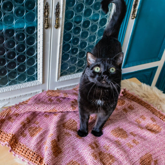 

Paw Prints On My Heart - Blanket
5