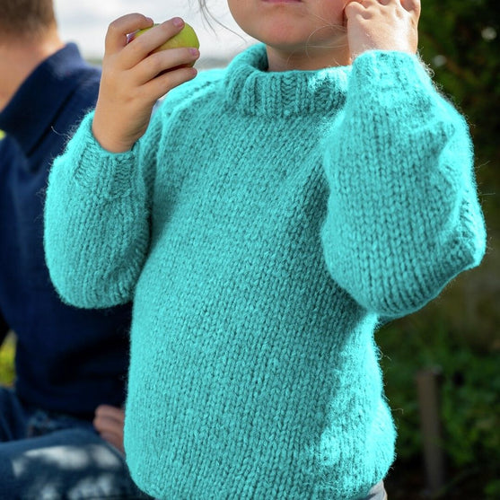 

114-06C Ask Jumper
2