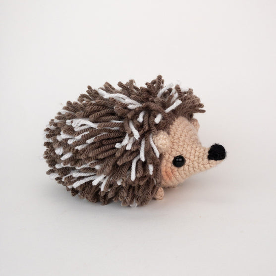 

Heath the Hedgehog
1