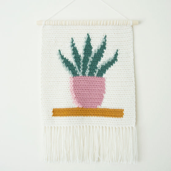 

Snake Plant - Hanging
1