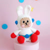 

Elroy the Astronaut Bunny
2