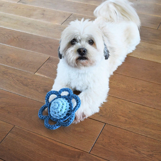 

Flower – Dog Toy
1