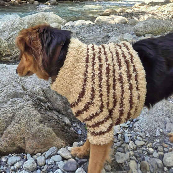 

Stevie - Dog Sweater
2