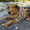

Stevie - Dog Sweater
1