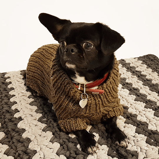 Flemming Dog Sweater