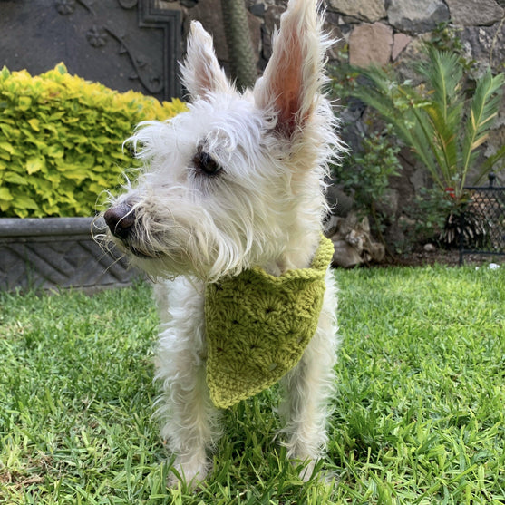 

Cuddly Wrap - Dog’s Bandana
4