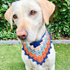 

Lola’s Bandana - Dog Bandana
6