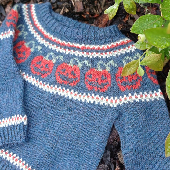 

Pumpkins - Children’s Sweater
1