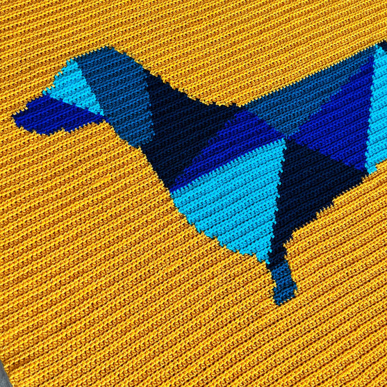 

Dachshund - Blanket
3