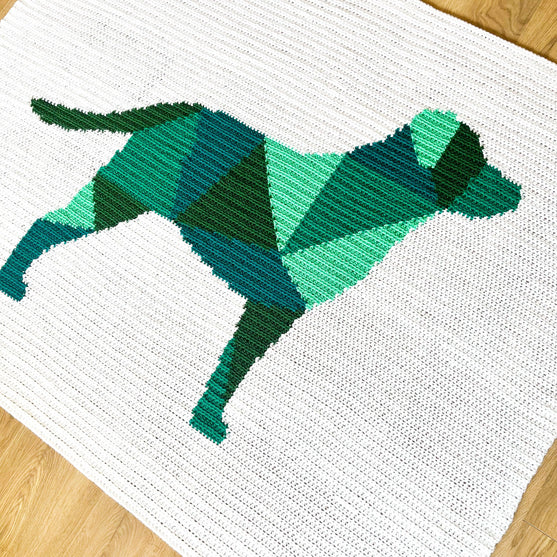 

Labrador - Blanket
1
