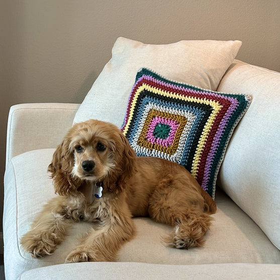 

Not Ur Granny’s Pillow
3