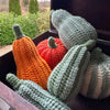 

Decorative Pumpkins - Oblong
1