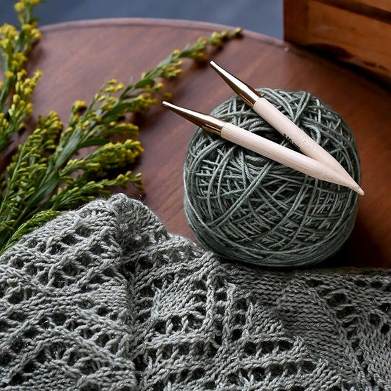 

Bamboo Interchangeable Circular Needles - KnitPro
5