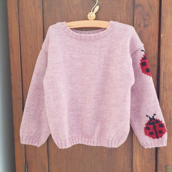 

Ladybug - Children’s Sweater
1