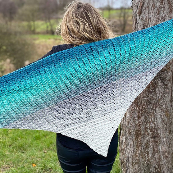 

Next Step - Shawl
4