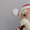 

Cuddly Santa
5