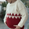 

Easy Santa Sweater Baby
2