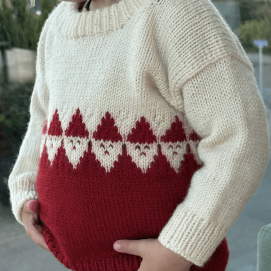 

Easy Santa Sweater Junior
2