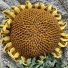 

Sunflower - Cushion
1
