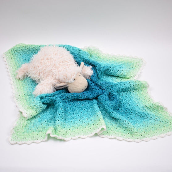 

Deluxe Baby Blanket
5