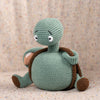 

Theo the Turtle
6