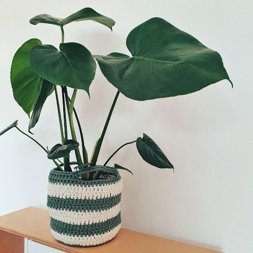 

June - Plant Basket
1