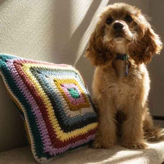 

Not Ur Granny’s Pillow
4