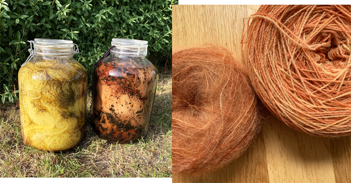 Dill dyeing in a jar