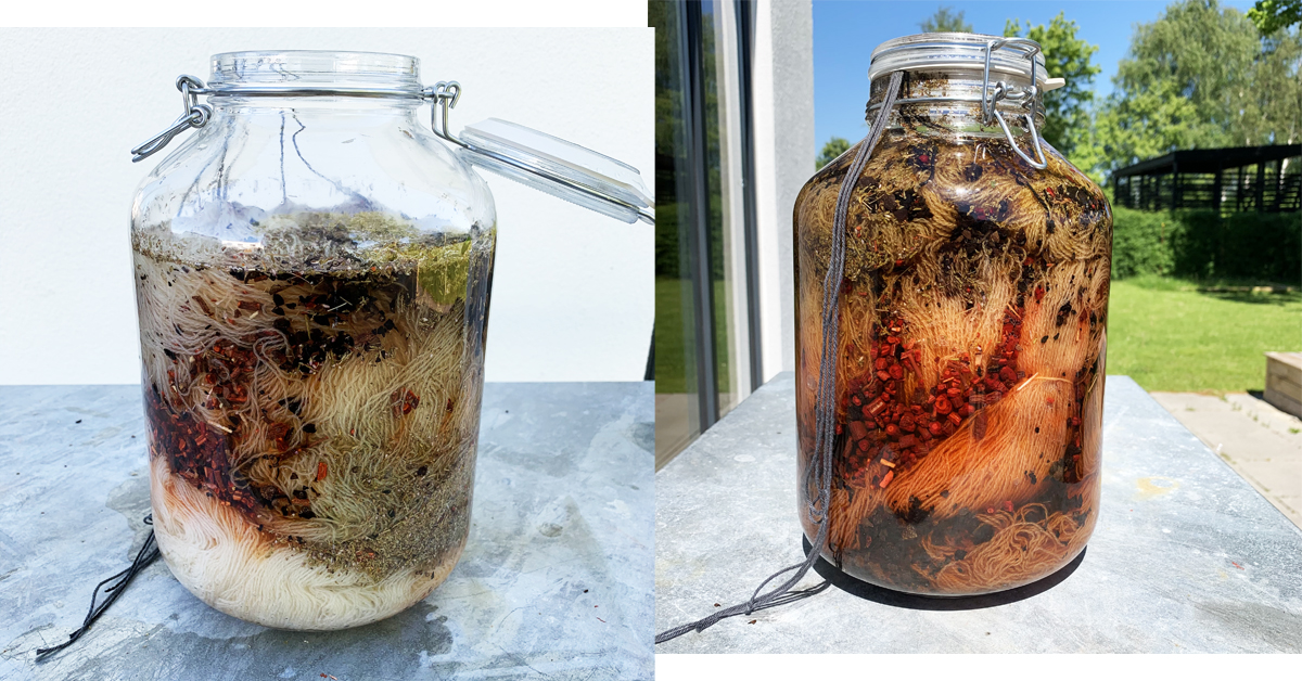 Dill dyeing in a jar