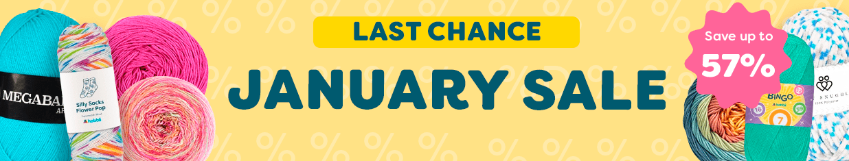 January Last Chance Sale 