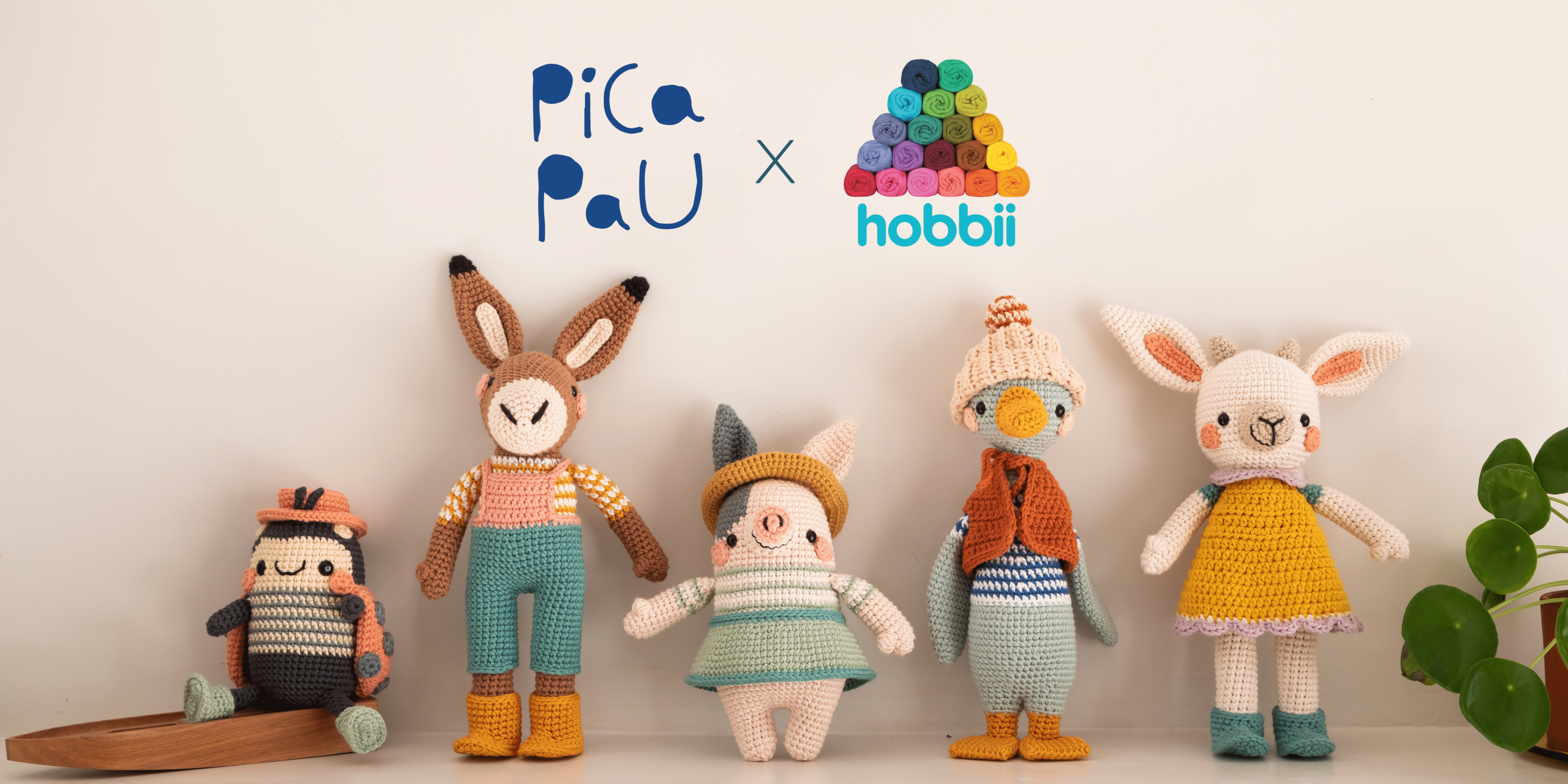 Pica Pau x Hobbii Cotton 8/7